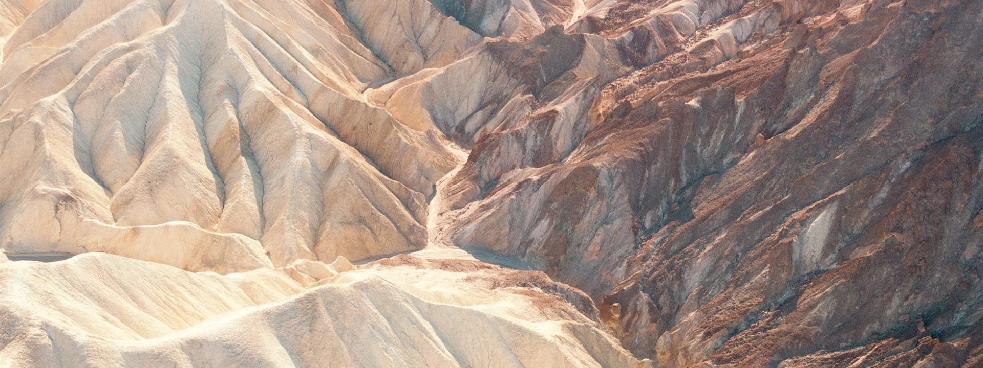 Δάπεδα ter Hurne - Symeonidis - Hardwood Collection Banner