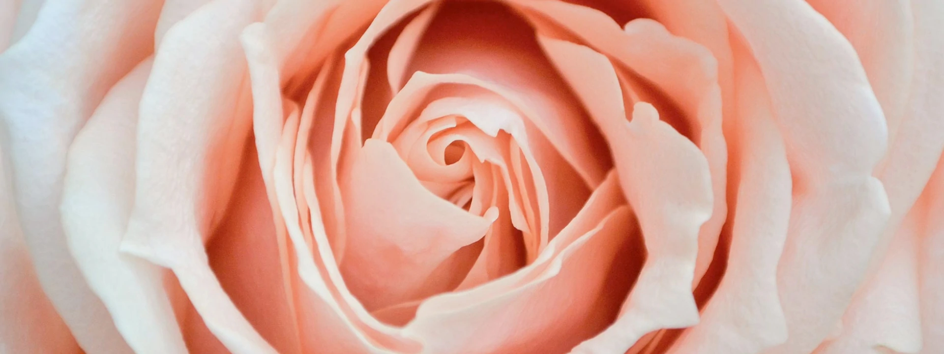 Δάπεδα ter Hurne - Symeonidis - Hardwood Collection Banner