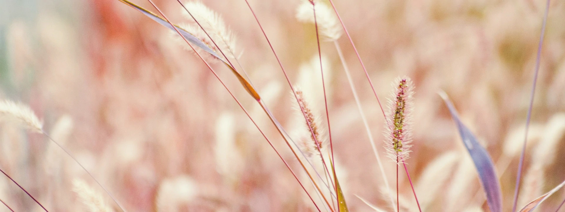 Δάπεδα ter Hurne - Symeonidis - Hardwood Collection Banner